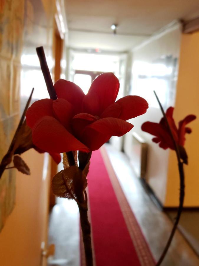 Hostal Torres Del Paine 2 Punta Arenas Ngoại thất bức ảnh